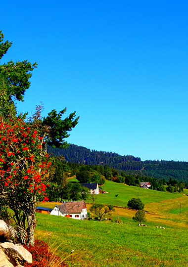 Le village d’Orbey