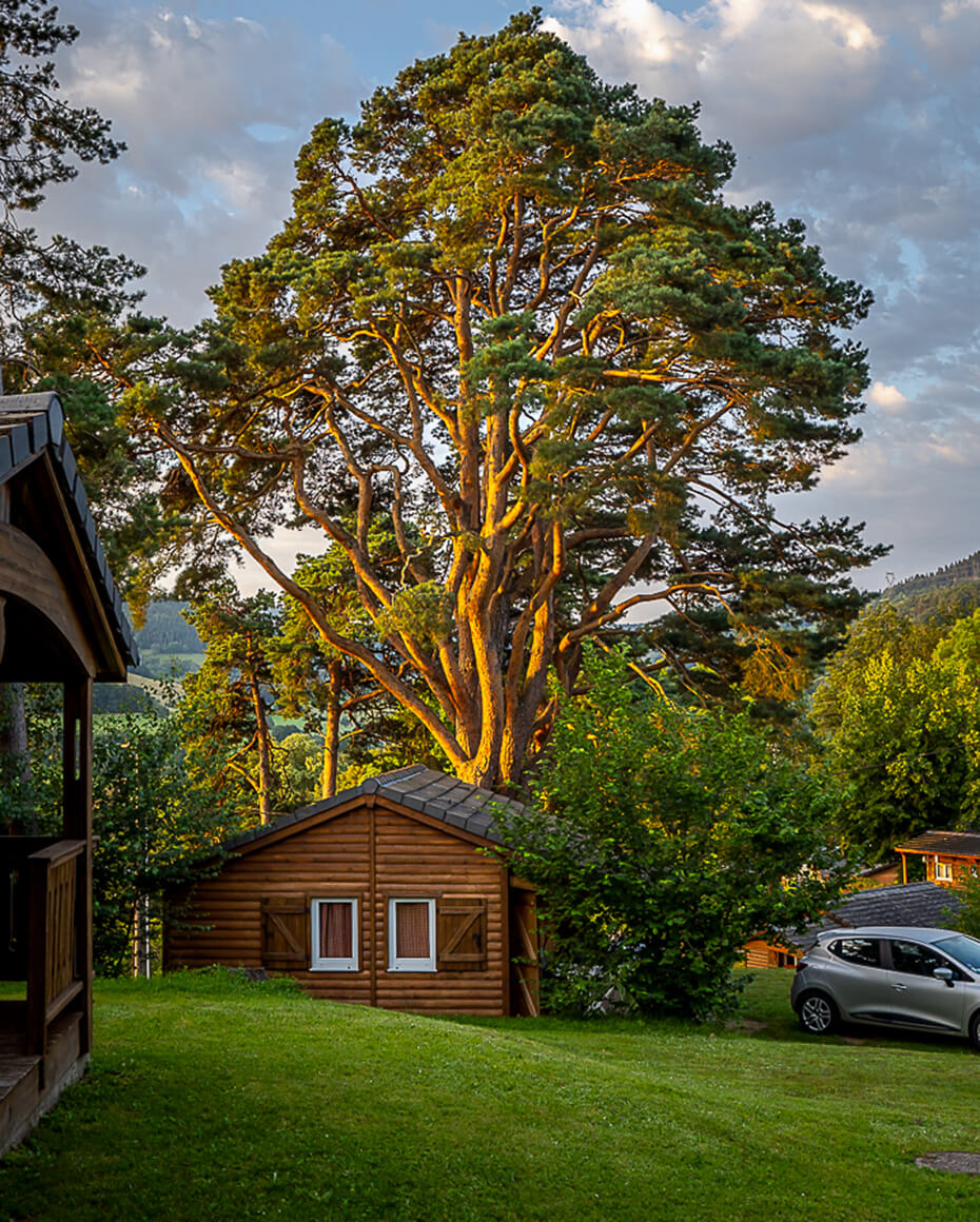 Vue extérieure d’un chalet tout équipé en location au camping en Alsace Lefébure à Orbey