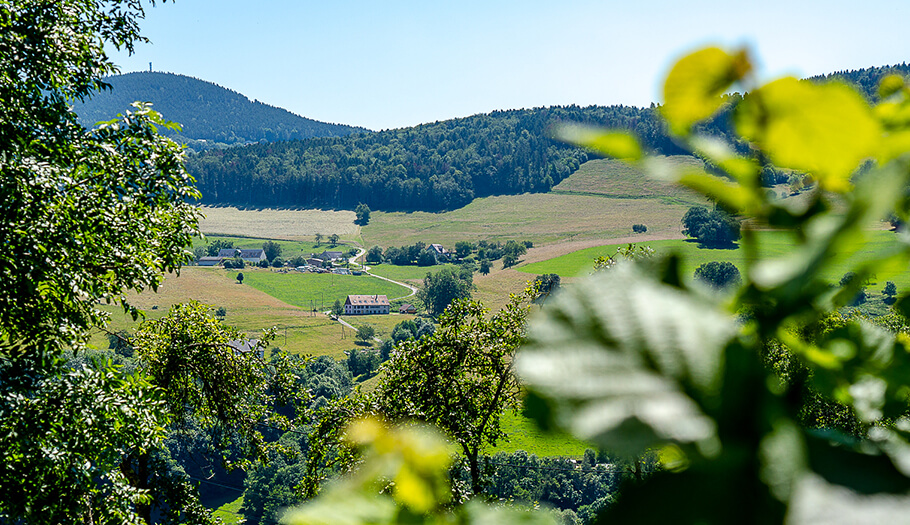 Un camping familial et nature dans le Haut-Rhin 