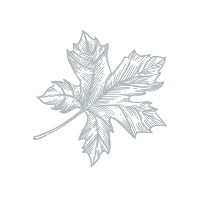 Icône feuille